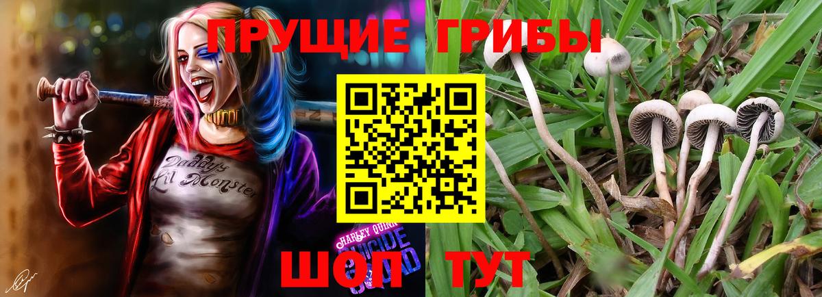 Галлюциногенные грибы GOLDEN TEACHER  Вход с VPN  Саратов 