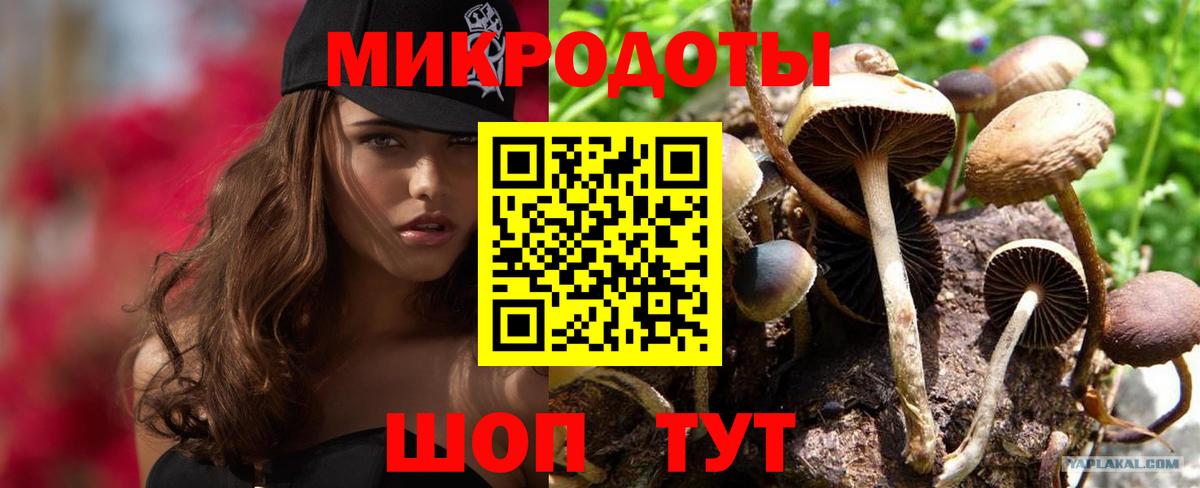 Псилоцибиновые грибы прущие грибы Саратов