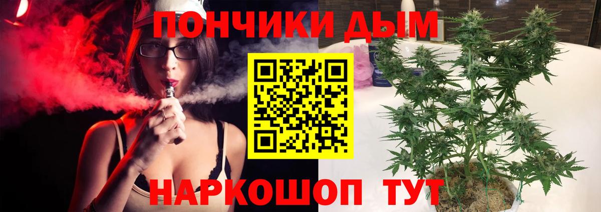 Канабис гибрид Саратов